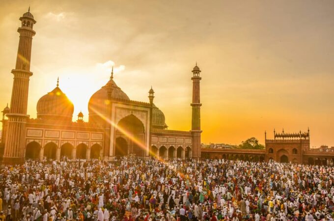 Delhi: Half Day or Full-Day Private Tour - Language Options