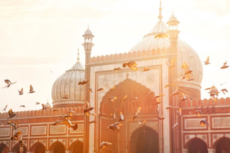 Delhi Layover Tour: Old & New, Airport to City With Transfer - Customer Feedback