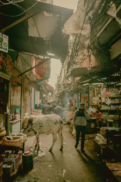 Delhi: Local Dinner Tour in Old Delhi - Cancellation and Refund Policy