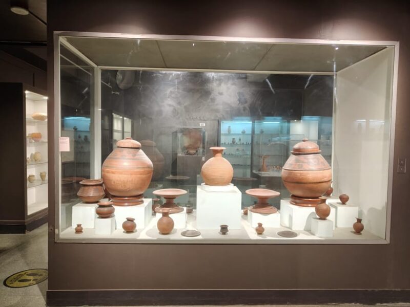 Delhi: National Museum Tour - Maurya and Gupta Art