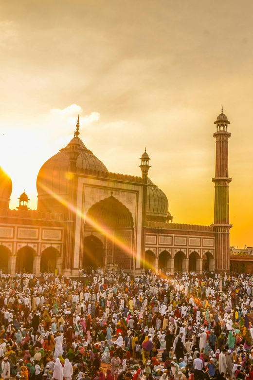 Delhi: New & Old Delhi Private Half or Full-Day Tour - Guest Experience and Reviews