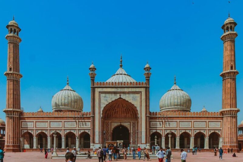 Delhi: Old and New Delhi Private Guided City Tour - Pickup and Drop-off Services