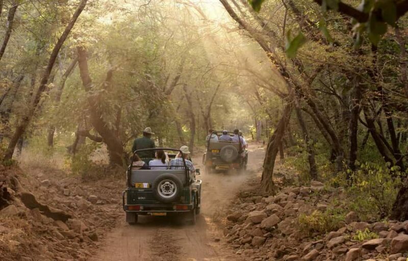 Delhi: Ranthambore National Park 3-Day Tour with Safari. - Key Points