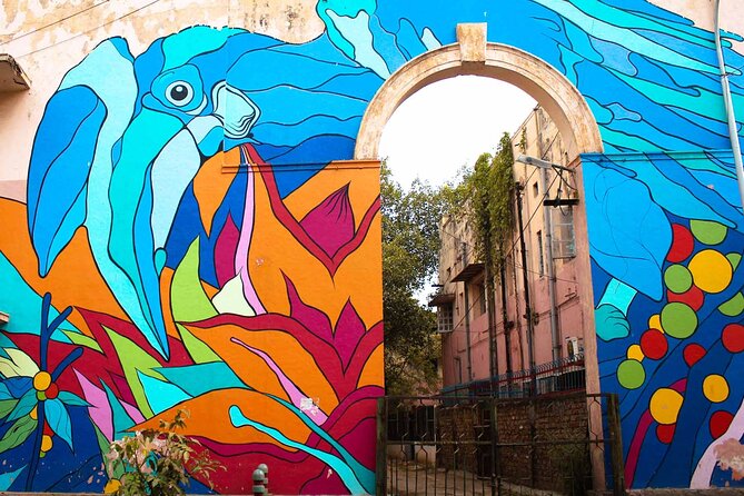 Delhi Street Art Tour - Inclusions