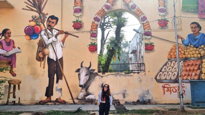 Delhi Street Art Tour: Explore the Murals & Visit a Stepwell - Key Points