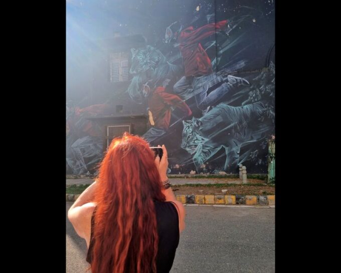 Delhi Street Art Tour: Explore the Murals & Visit a Stepwell - Discovering Local Art and Architecture