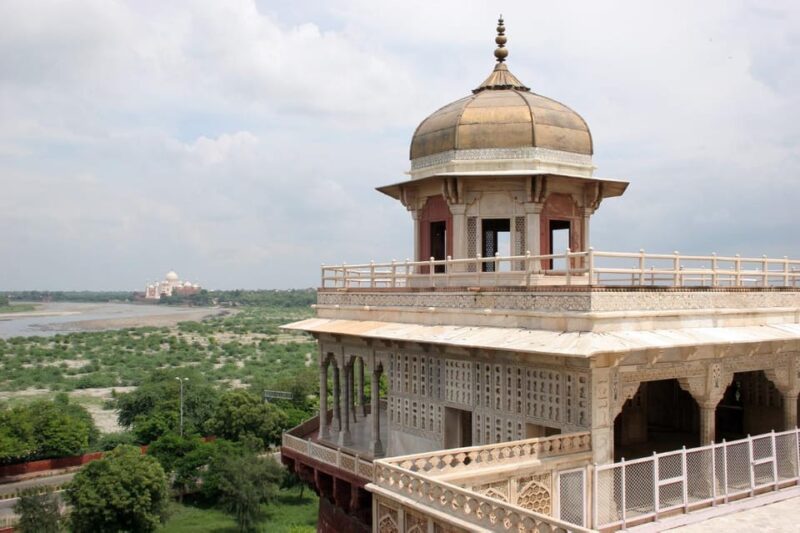 Delhi: Taj Mahal Sunrise Tour Wildlife Elephant Conservation - Key Points