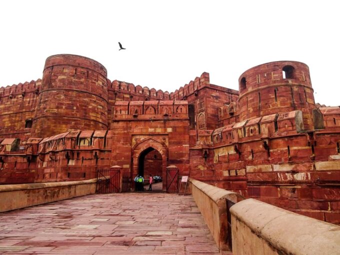 Delhi: Taj Mahal Sunrise Tour Wildlife Elephant Conservation - Elephant Conservation Experience