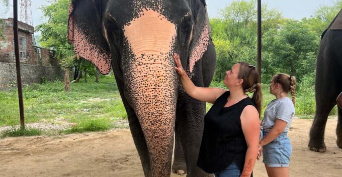 Delhi: Taj Mahal Sunrise With Elephant Conservation Tour - Transportation and Pickup Locations