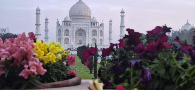 Delhi to Agra: From the Taj Mahal to Hidden Gems in 1 Day - Accessibility and Additional Information
