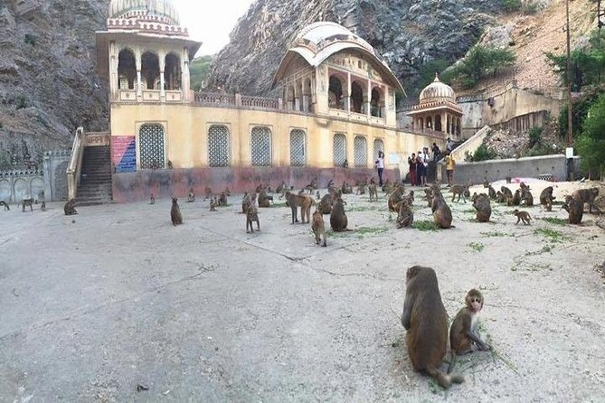 Delhi To Jaipur Ajmer Pushkar 4 Days Private Tour Package By Car - Inclusions and Exclusions