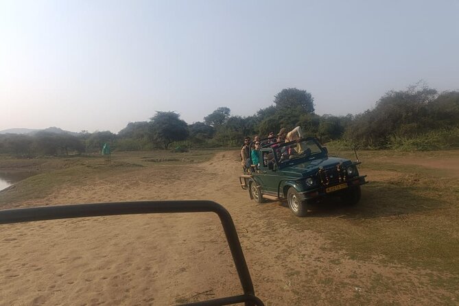 Delhi to Sariska National Park: A Thrilling Wildlife Excursion - Fascinating Wildlife Encounters