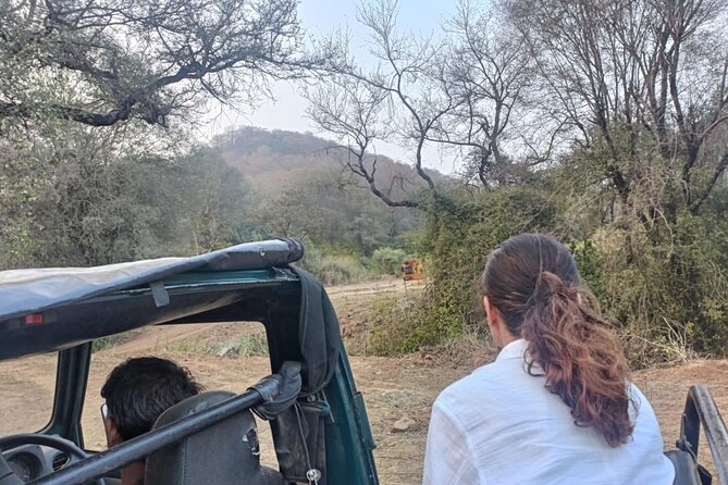 Delhi to Sariska National Park: A Thrilling Wildlife Excursion - Delectable Lunch Experience