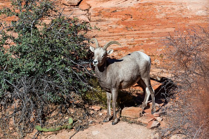 Delicate Arch Trail Self-Guided Audio Walking Tour - Pricing and Cancellation Policy