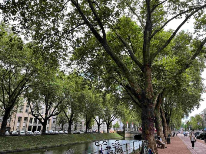 Delightful Dusseldorf: A Self-Guided Audio Tour - Discovering Kölngsallee