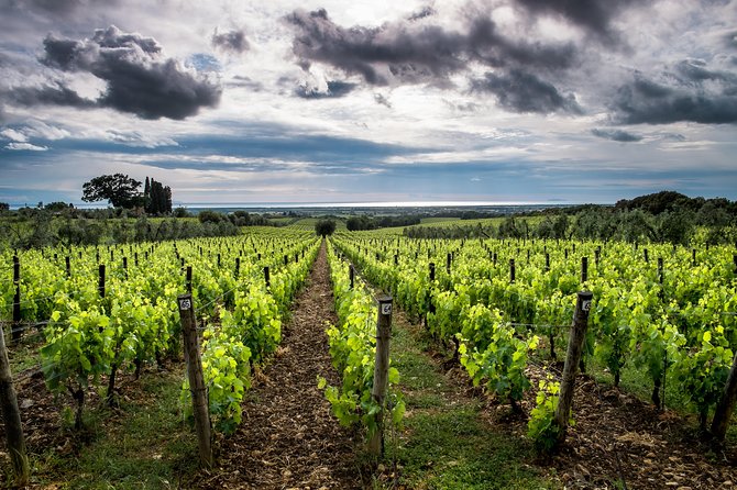 Delightful Tuscany Wine Experience in Charming Places - Exceptional Guest Ratings