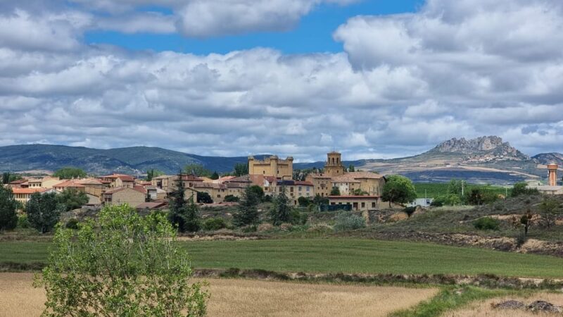 Delivery Bike Rental and Guided Tours in La Rioja - Guided Tour Packages: Exploring La Riojas Wine Country