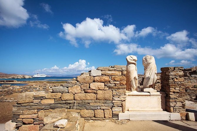Delos and Mykonos One Day Cruise From Naxos - Discovering the Delos Destination