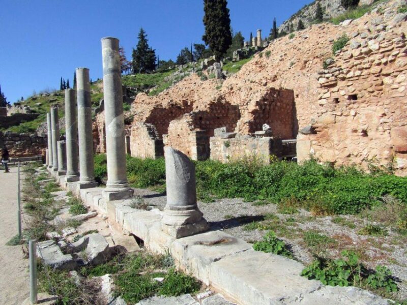 Delphi: Audio Guided Tour of the Sites in French or English - Customer Feedback
