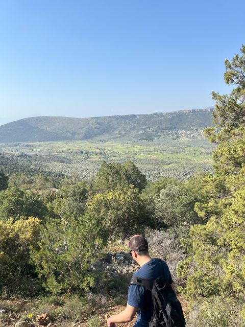 Delphi: Easy Hike From the Monastery to the Mycenaean Tomb - Guided Tour Details