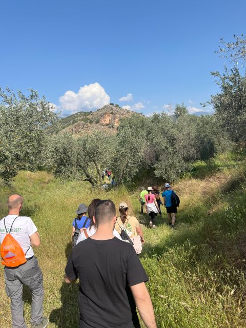 Delphi: Easy Hike From the Monastery to the Mycenaean Tomb - Pricing and Cancellation Policy
