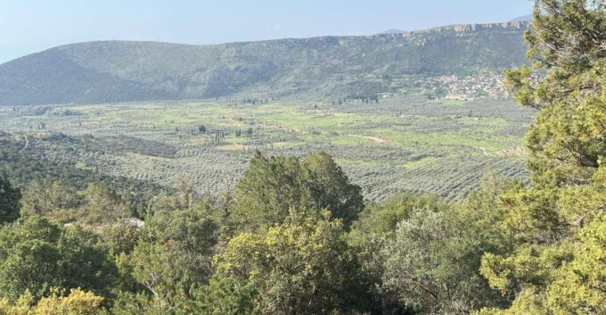 Delphi: Easy Hike From the Monastery to the Mycenaean Tomb - Prepare for the Adventure