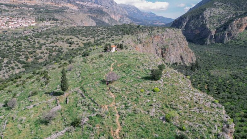 Delphi: Easy Hike on Ancient Path Through the Olive Groves - Experience Highlights