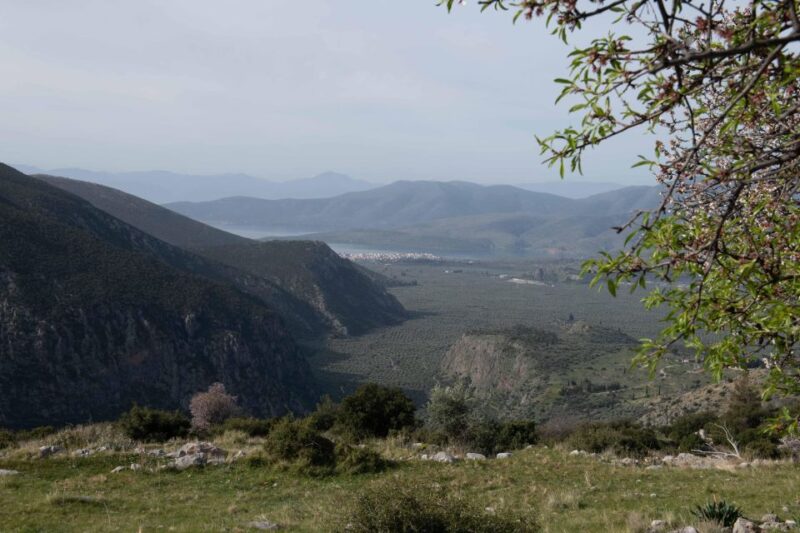 Delphi: Easy Hike on Ancient Path Through the Olive Groves - Meeting and Drop-off Points