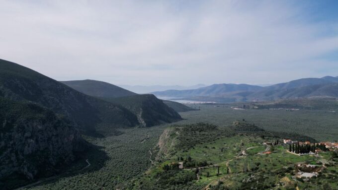 Delphi: Easy Hike on Ancient Path Through the Olive Groves - Important Notes