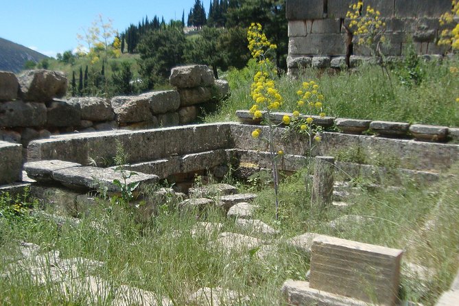 Delphi Self-Guided Audio Tour on Your Phone (No Ticket) - How to Access the Tour