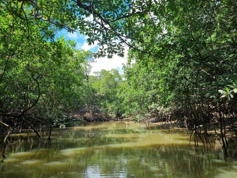 Delta Islands - Tutoia Private Tour - Highlights of the Delta Islands