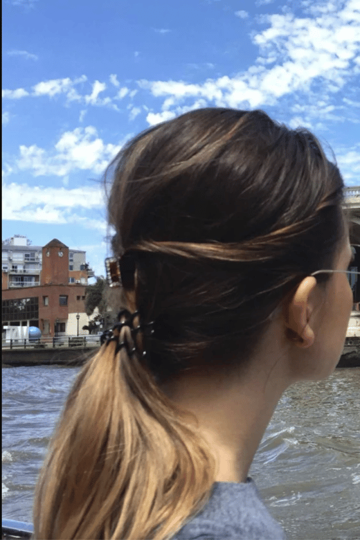 Delta Premium Sailing Tour and Highlights of the Tigre City - Itinerary Highlights