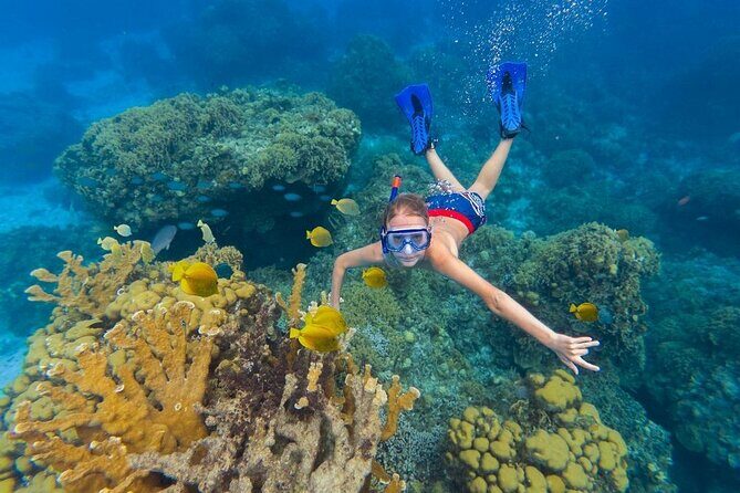 Deluxe Catamaran Tour to Isla Mujeres, Drinks, Snorkeling, Buffet - FAQs