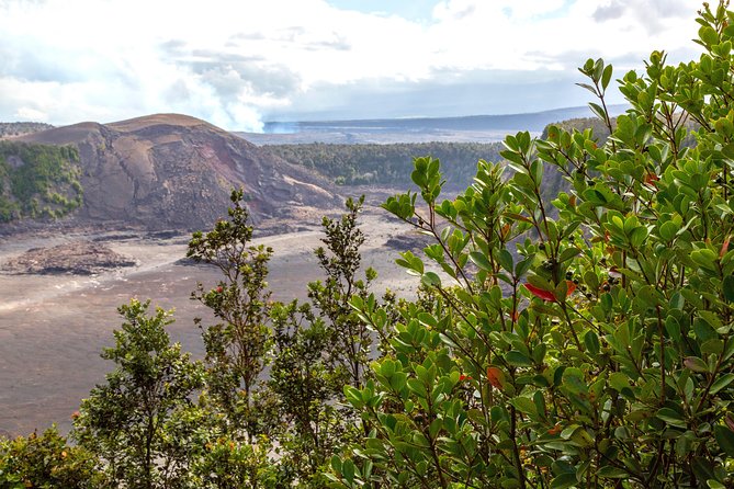 Deluxe Daytime Volcano Guided Charter (Cruise Ship or Hilo Hotel) - Health and Safety Considerations