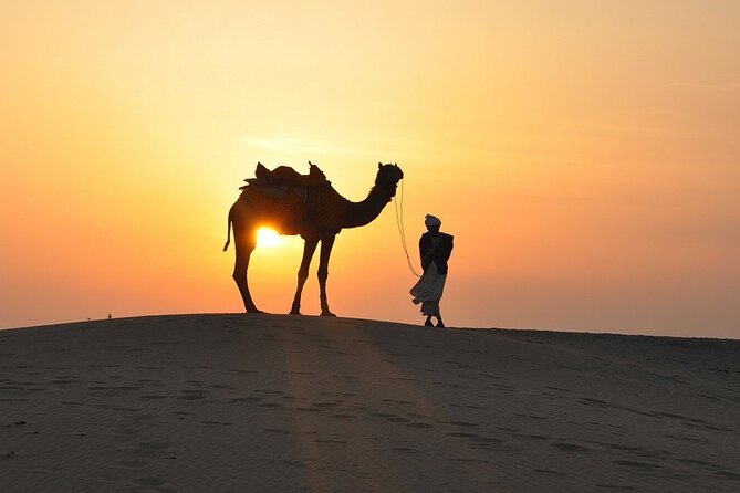 Deluxe Dubai Desert Safari With BBQ Dinner - Negative Guest Feedback