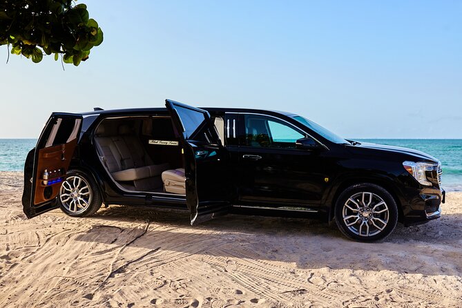 Deluxe GMC Limousine From CUN Airport to Playa Mujeres - Driver Identification