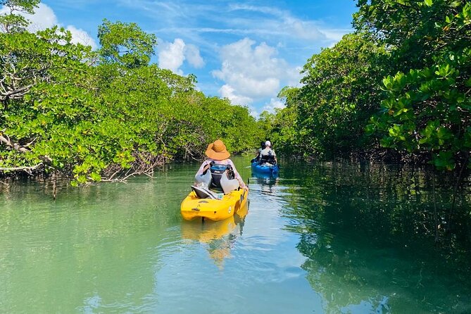 Deluxe Kayak Tour Marco Island and Naples, Florida - Tour Details and Restrictions