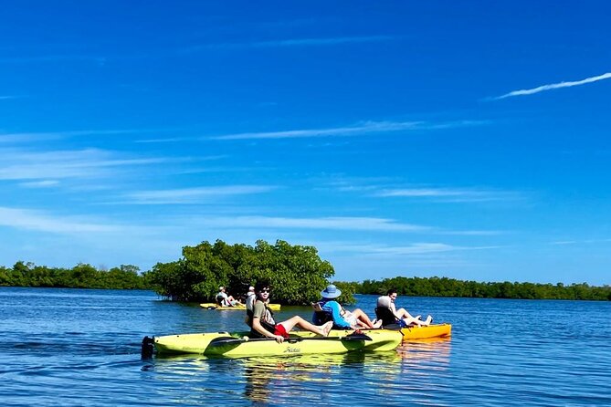 Deluxe Kayak Tour Marco Island and Naples, Florida - Exploring the Natural Beauty