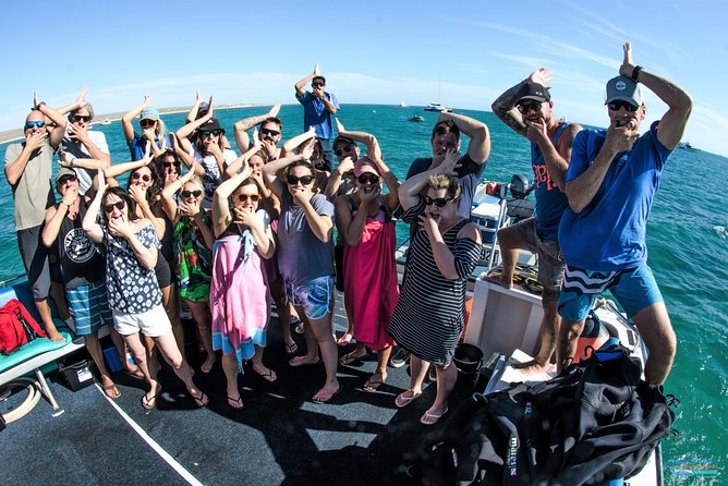 Deluxe Mega Fauna Humpback or Whaleshark Swim Ningaloo Reef - Memorable Crew and Staff Highlights