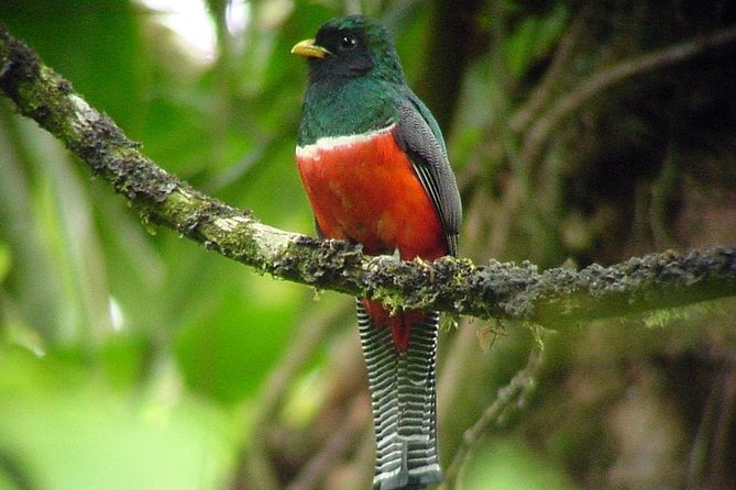 Deluxe Nature Expedition 8 Days - Itinerary Overview