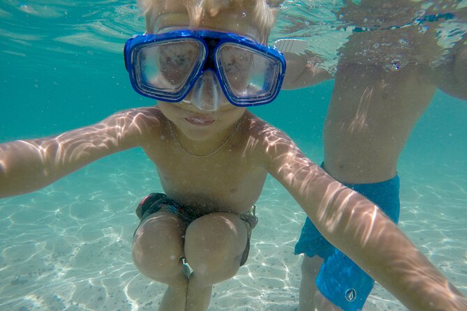 Deluxe North Shore Adventure From Ko Olina - Spotting Hawaiian Green Sea Turtles