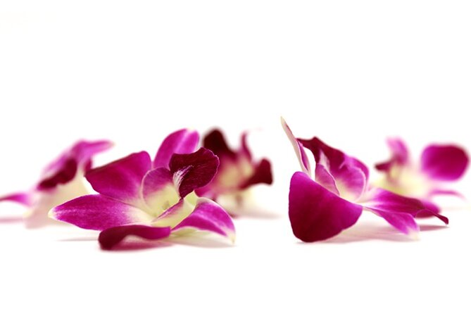 Deluxe Orchid Lei Greeting (Maui, Kahului Airport, OGG) - Positive Reviews and Highlights