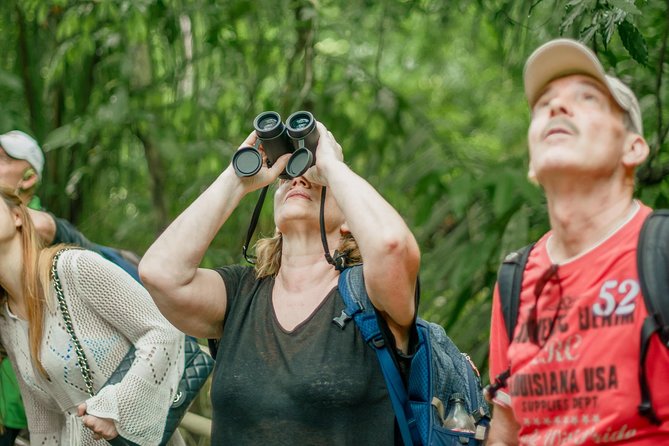 Deluxe Private Manuel Antonio Park Tour - Transportation & Pickup