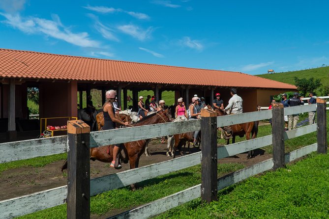 Deluxe & Private Zipline, Horseback Riding, Waterfall and Hot Springs - Additional Information