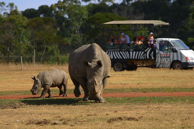 Deluxe Safari Adventure at Werribee Open Range Zoo - Excl. Entry - Visitor Experience and Reviews