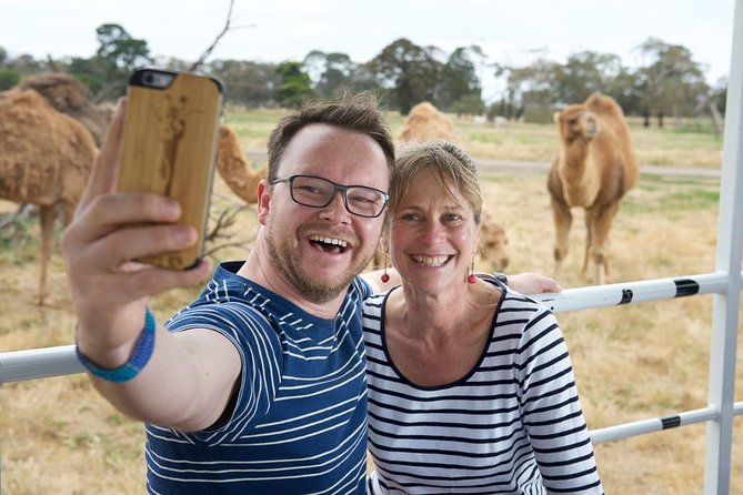 Deluxe Safari Adventure at Werribee Open Range Zoo - Excl. Entry - Transportation and Location