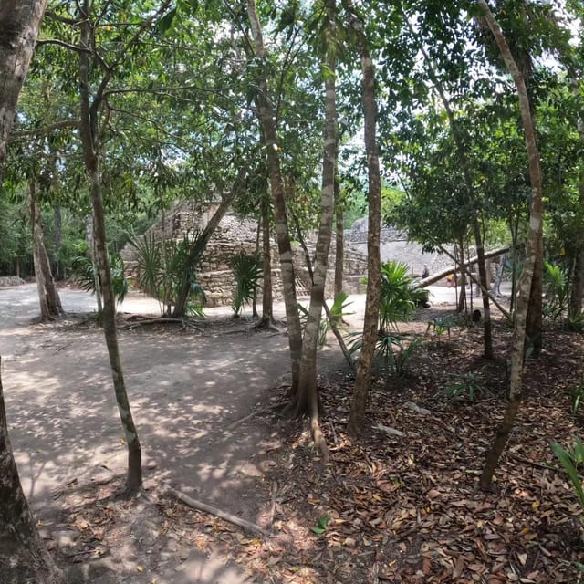 Deluxe Tulum, Coba & 5th Avenue From Cancun & Riviera Maya - Exploring 5th Avenue in Playa Del Carmen