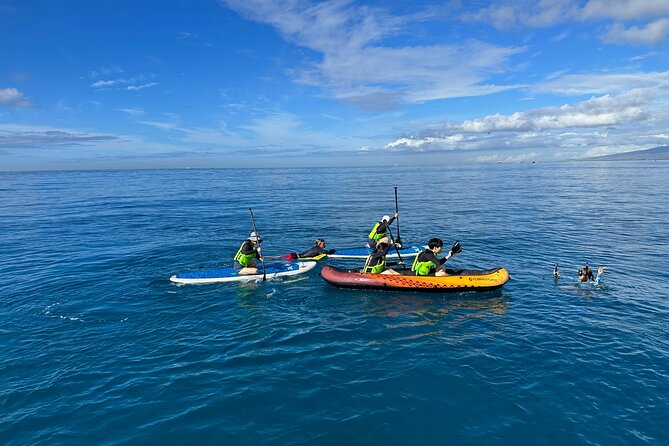 Deluxe Turtle Snorkeling Escapade at Waikiki - Health and Safety Considerations