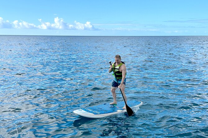 Deluxe Turtle Snorkeling Escapade at Waikiki - Highlights of the Marine Life