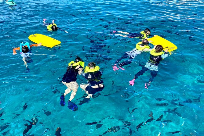 Deluxe Turtle Snorkeling Escapade at Waikiki - Booking and Cancellation Policy